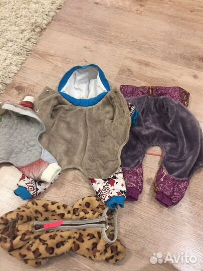 Одежда для мелких пород