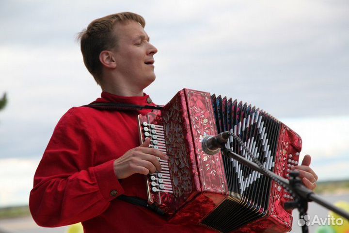 Гармонист баянист