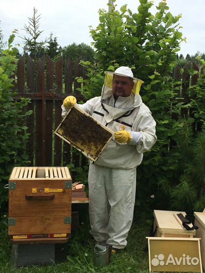 Мед свежий 2023