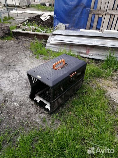 Собачья будка