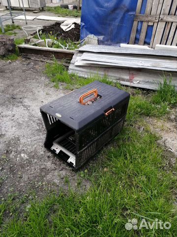 Собачья будка