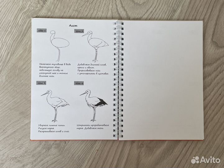 Рисуем легко. Пошаговые уроки. Животные