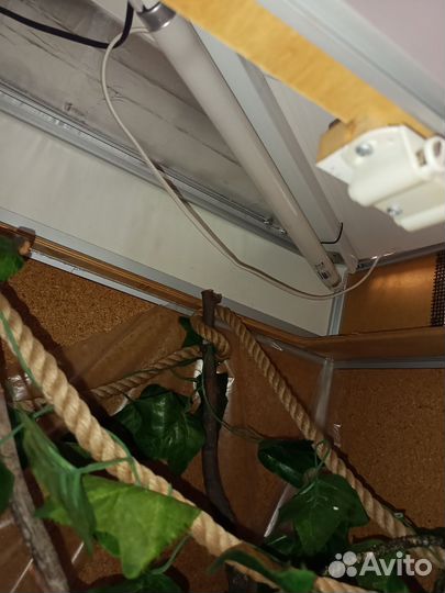 Террариум для рептилий большой