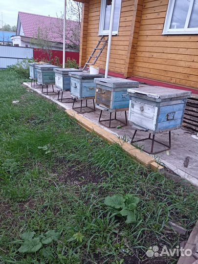 Продам ульи для пчел