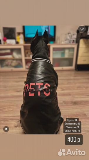 Одежда для собак