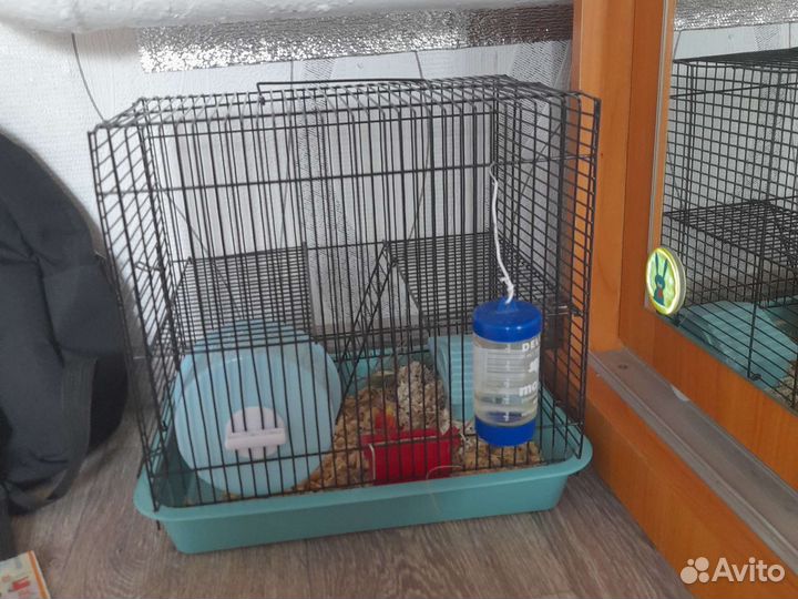 Клетка для хомяков