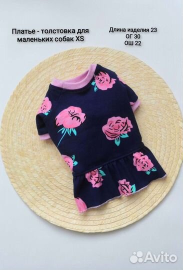 Одежда для собаки