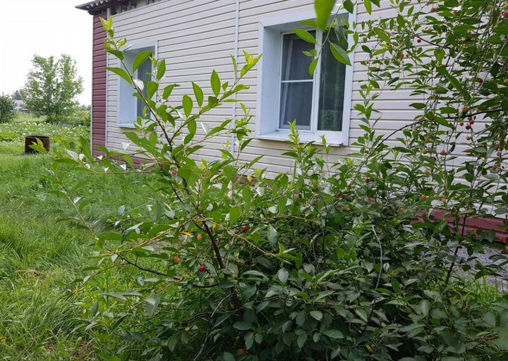 2-к. квартира, 50 м², 1/1 эт.