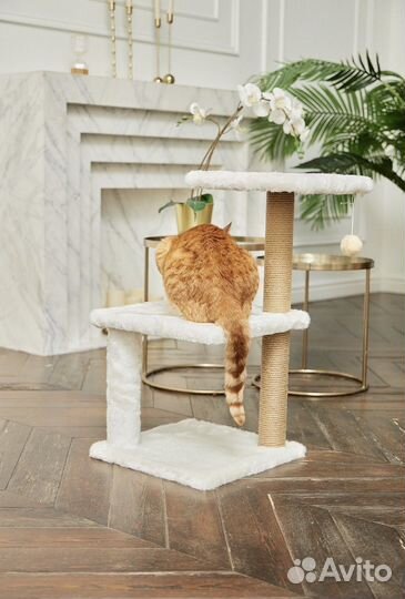 Когтеточка с лежанкой