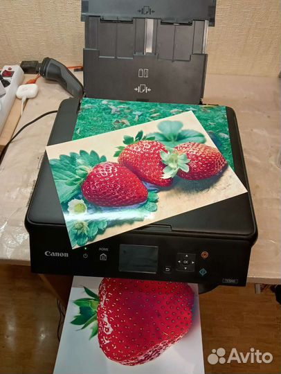 Принтер мфу TS5040