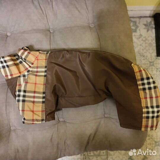 Комбинезон для маленькой собаки