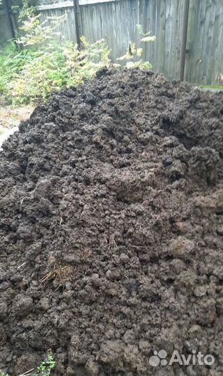 Навоз коровий для вноса в почву