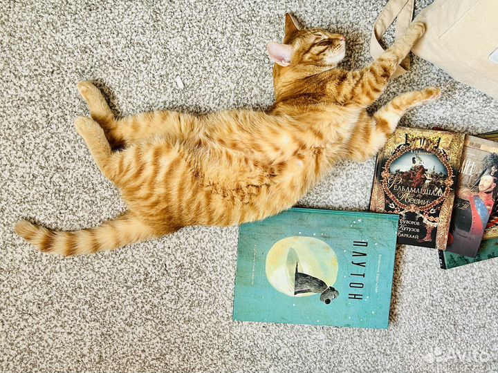 Книжечки в далекий теплый Крым :)