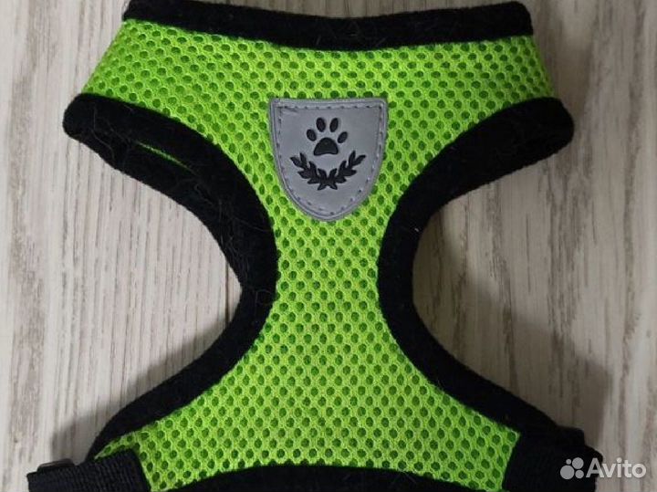 Шлейка для кошек и собак