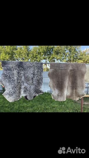 Ковры из овчины