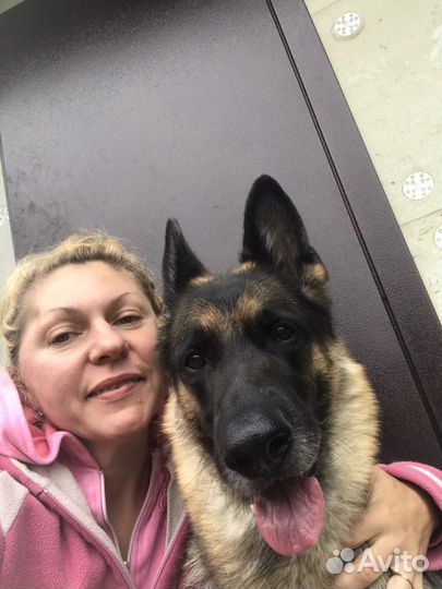 Зоогостиница Вырица