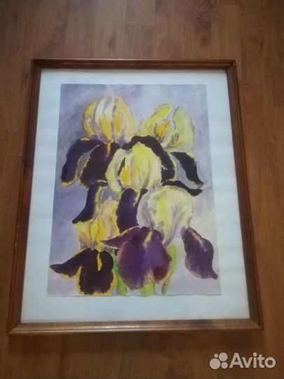 Картина Ирисы. Акварель