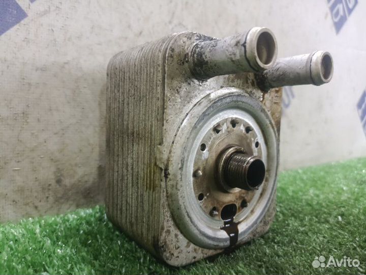 Радиатор масляный Volkswagen Touareg кроссовер 3.2