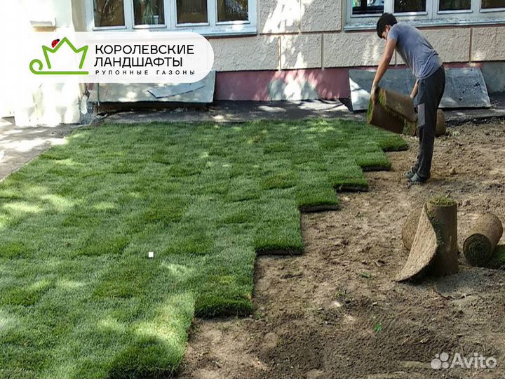 Рулонный газон