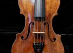 Старинная скрипка итальянская 19в Farotti Celeste