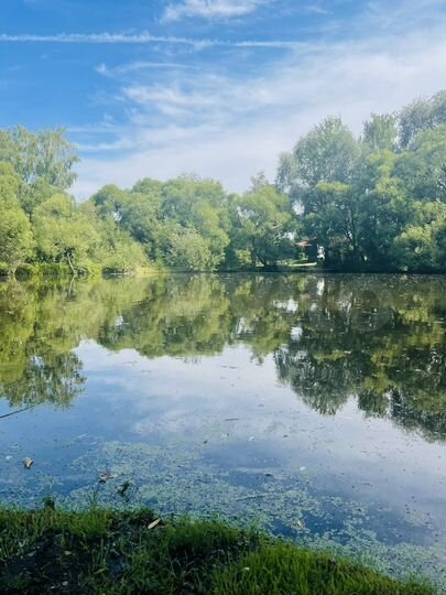 Участок 8 сот. (ИЖС)