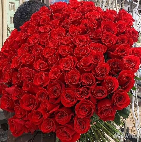 Высокие Розы Гиганты Доставка Круглосуточно