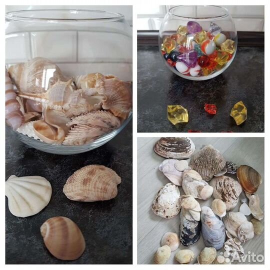 Декоративные ракушки