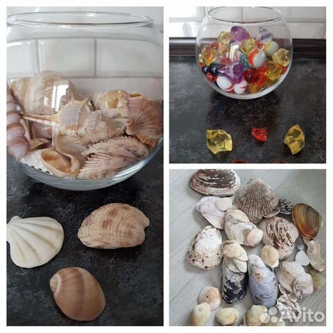 Декоративные ракушки