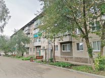 2-к. квартира, 46,3 м², 4/4 эт.