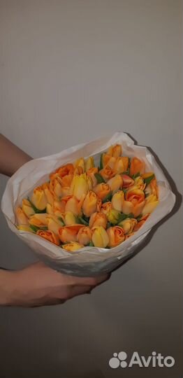 Тюльпаны в розницу