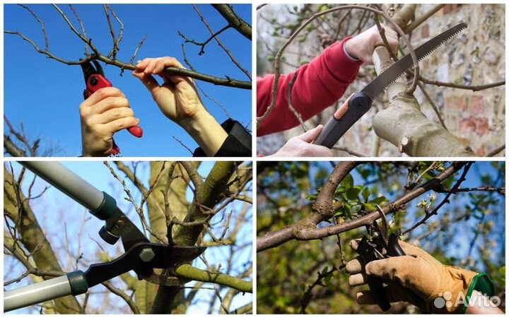 Спилить дерево. Обрезка плодовых. Стрижка туй. Сад