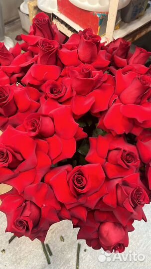 Королевская роза