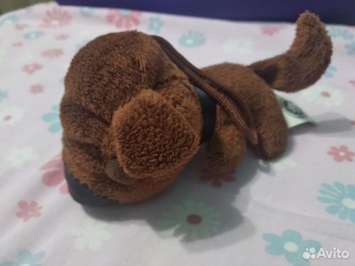 The dog collection и the cat collection