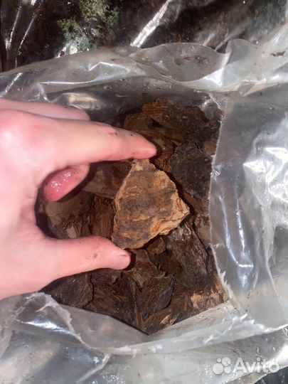 Кора сосновая / мульча