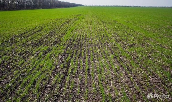 Земельный участок 23.4 га