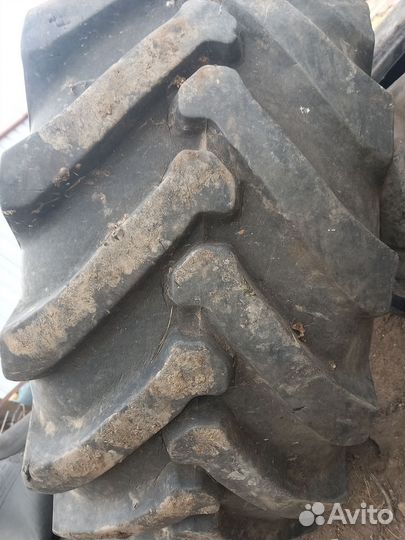 Шины Белшина Ф-64GL-1 16/0 R20