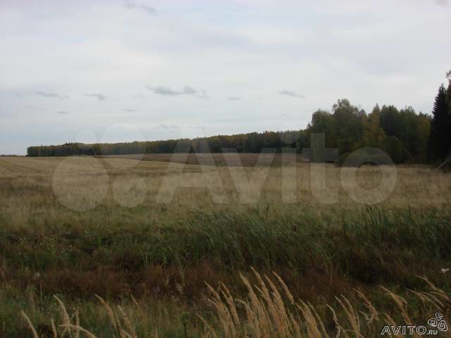 Участок 6,5 га (СНТ, ДНП)