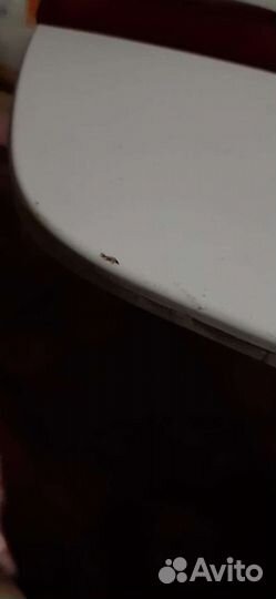 Багажник инфинити м 37