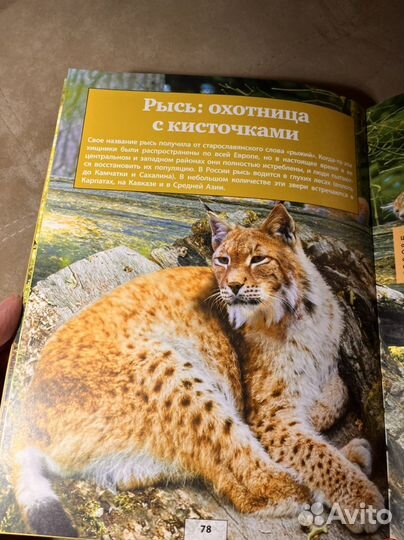 Детская энциклопедия с доп. Реальностью Astar