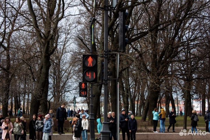 Фотограф-Видеограф