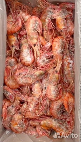 Креветка Ботан