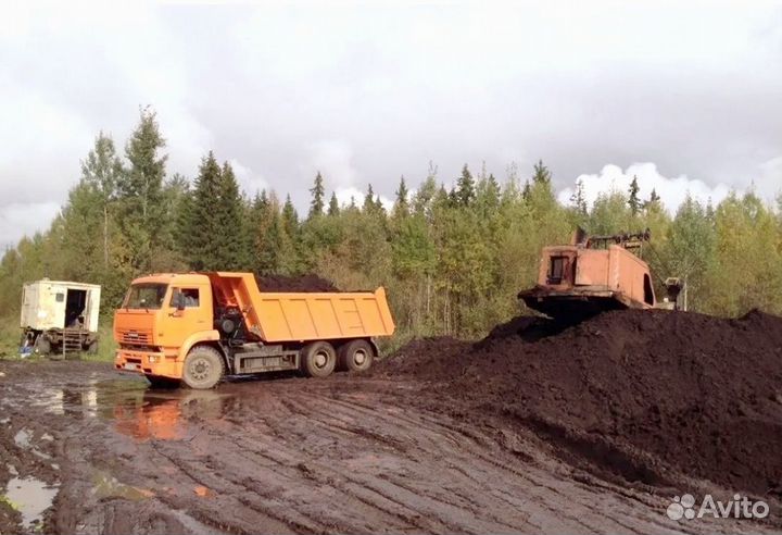 Плодородный грунт для газонов и грядок