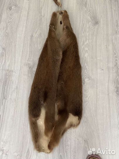 Шкурка животного