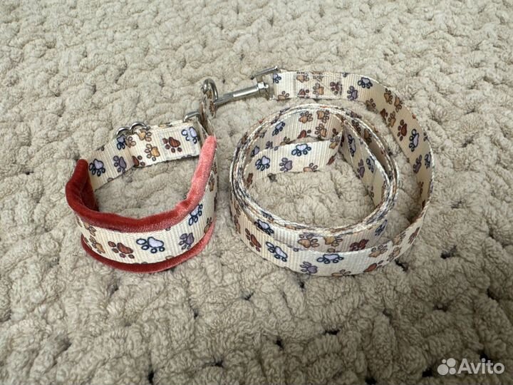 Ошейник-мартингейл с поводком для щенка