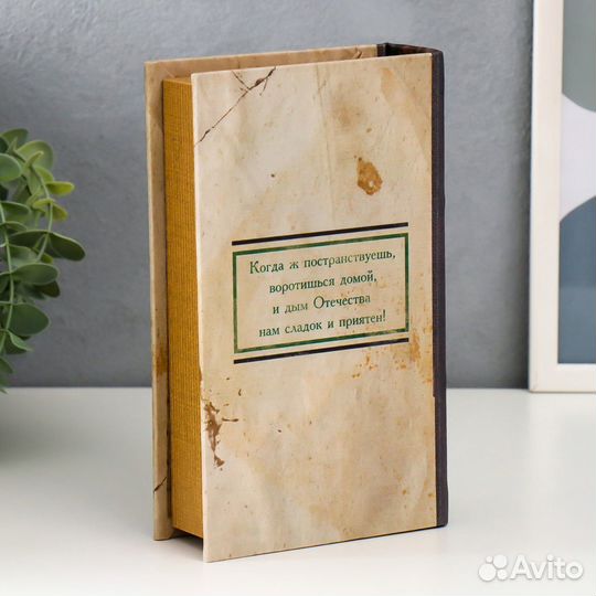 Сейф книга. Доставка бесплатно