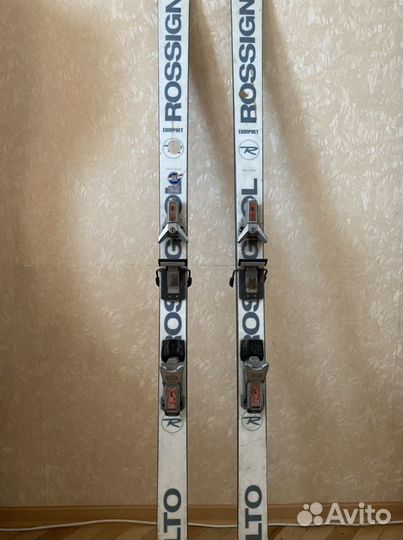 Горные лыжи