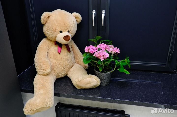 Рабочее место