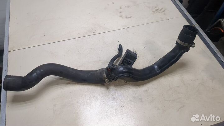 Патрубок интеркулера Ford Focus 3, 2018