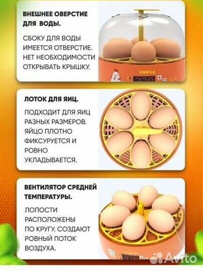 Инкубатор для яиц автоматический