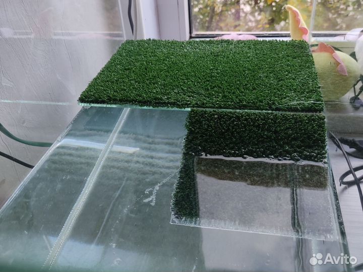 Красноухая черепаха с аквариумом